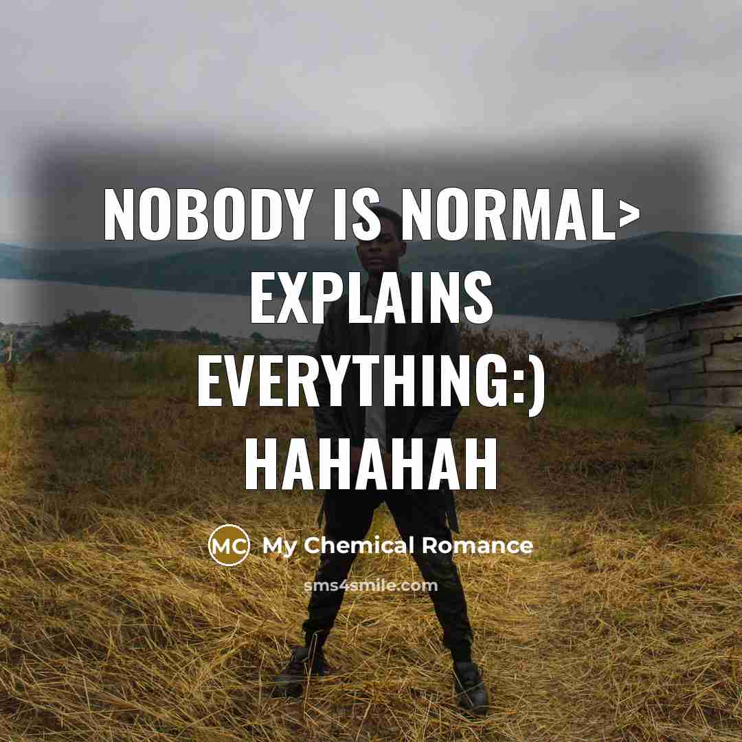 “Nobody is normal> explains everything:) hahahah…” quote by My Chemical Romance