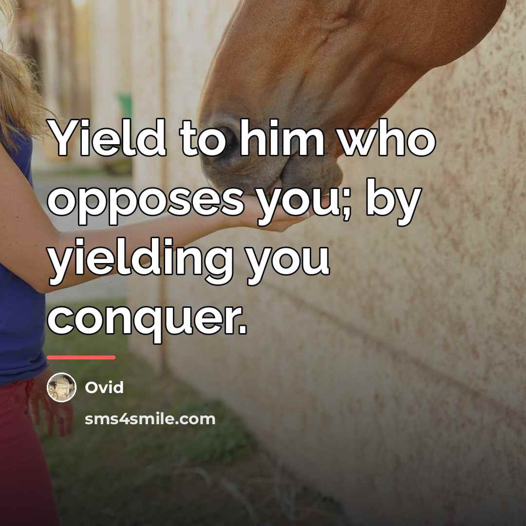 “Yield to him who opposes you; by yielding you conquer.…” quote by Ovid
