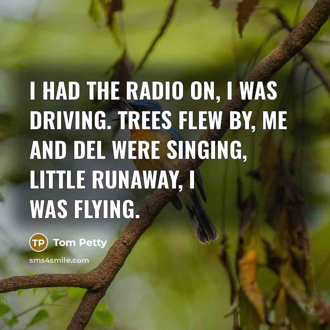 “I had the radio on, I was driving. Trees flew…” quote by Tom Petty