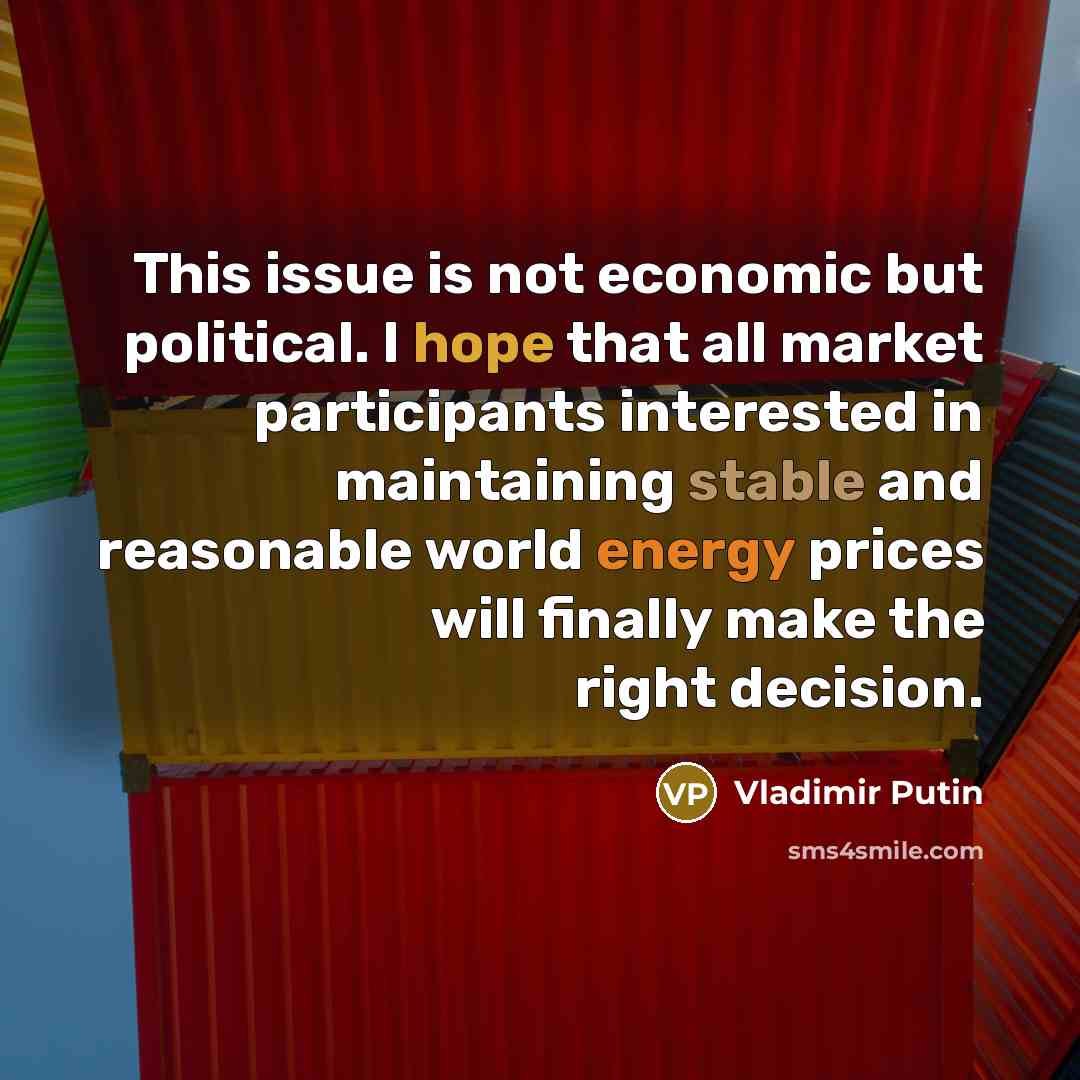 “This issue is not economic but political. I hope that…” quote by Vladimir Putin