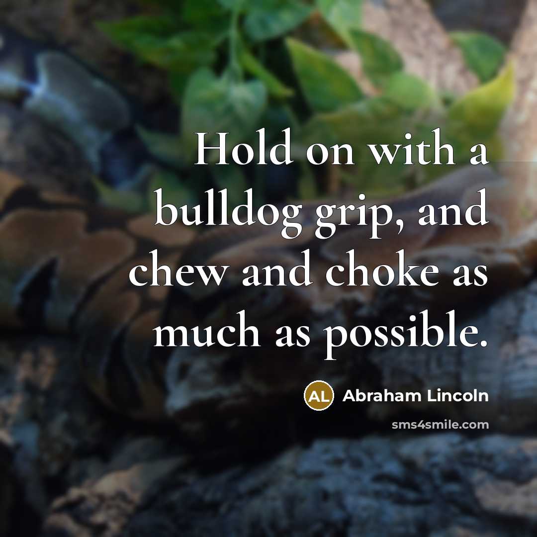 “Hold on with a bulldog grip, and chew and choke…” quote by Abraham Lincoln