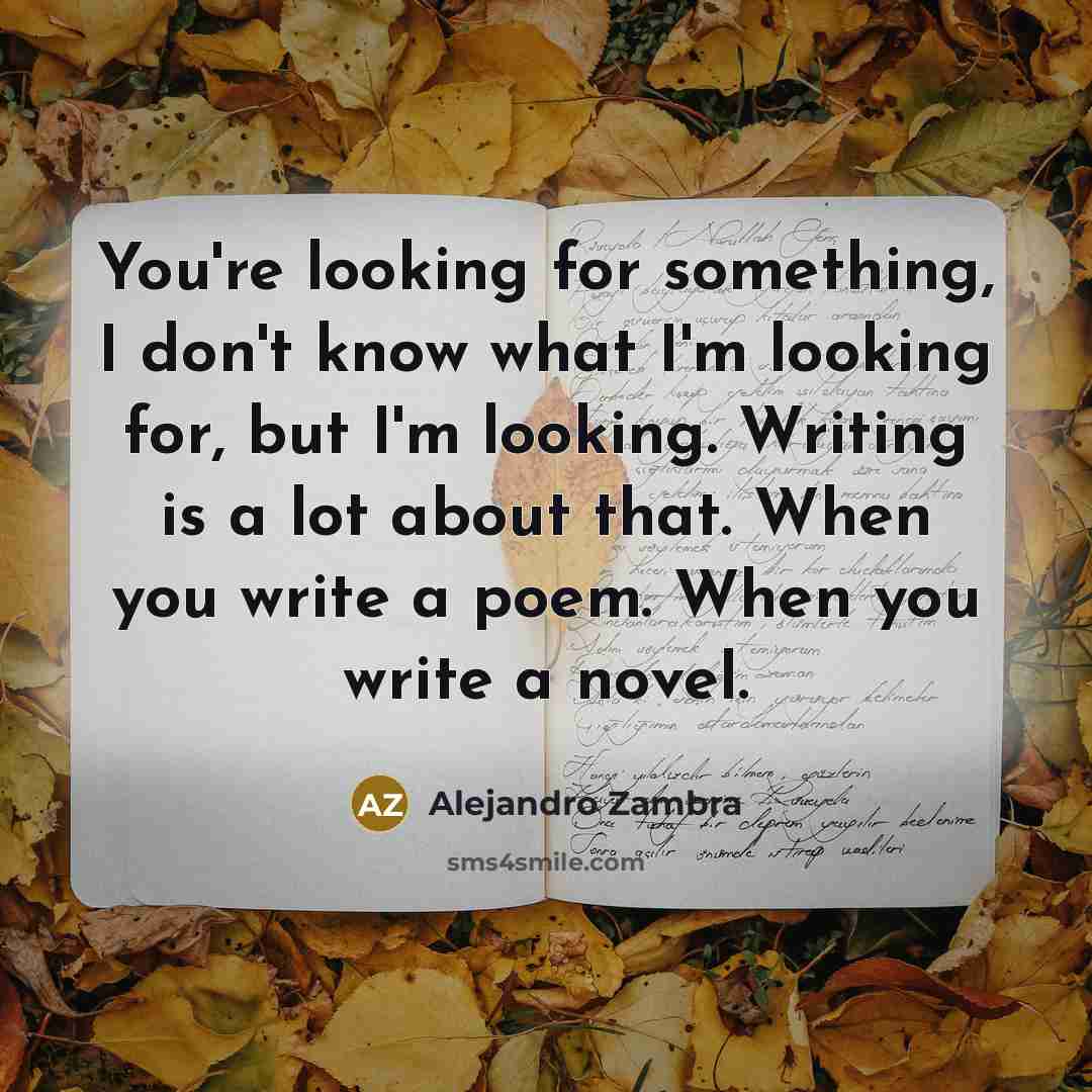 “You're looking for something, I don't know what I'm looking…” quote by Alejandro Zambra