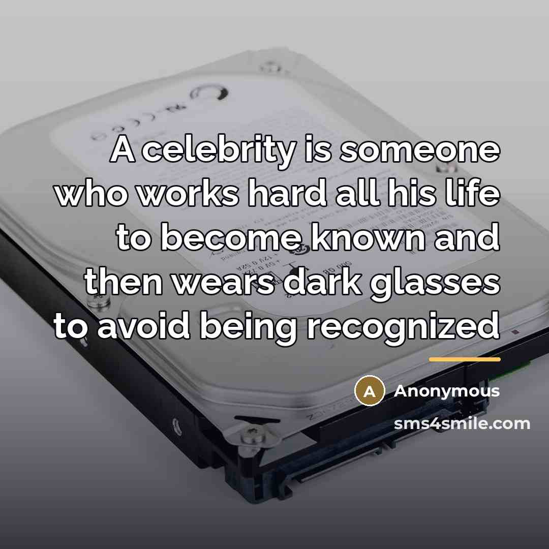 “A celebrity is someone who works hard all his life…” quote by Anonymous