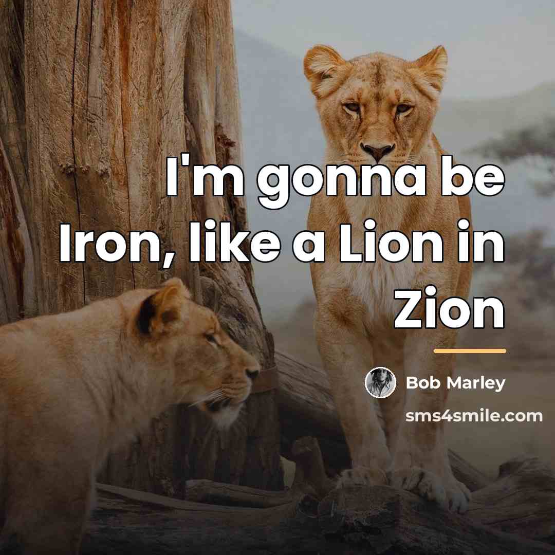 “I'm gonna be Iron, like a Lion in Zion…” quote by Bob Marley