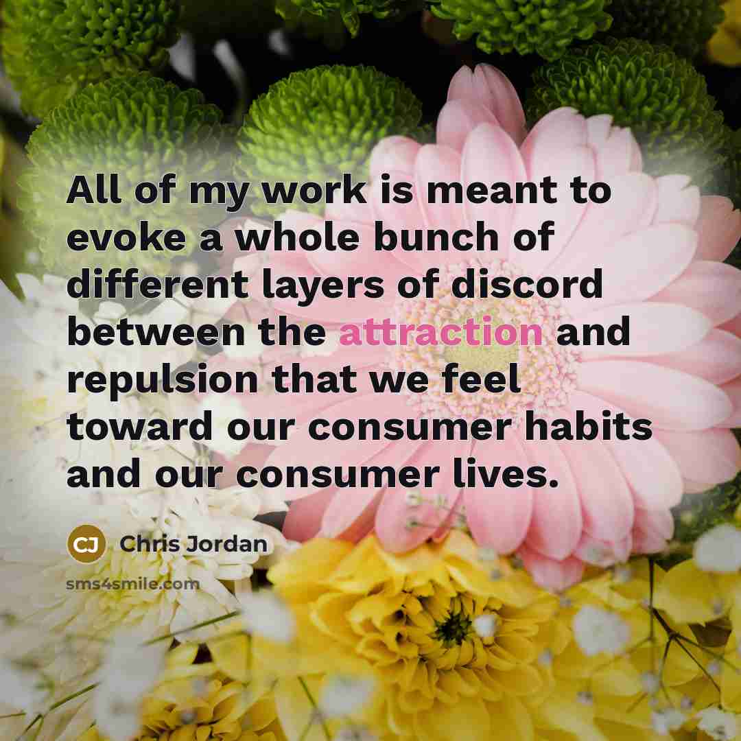 “All of my work is meant to evoke a whole…” quote by Chris Jordan