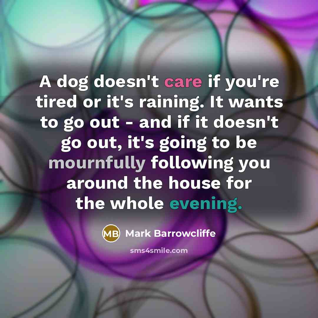 “A dog doesn't care if you're tired or it's raining. It wants to go out - and if it doesn't go out, it's going to be mournfully following you around the house for the whole evening.” quote by Mark Barrowcliffe