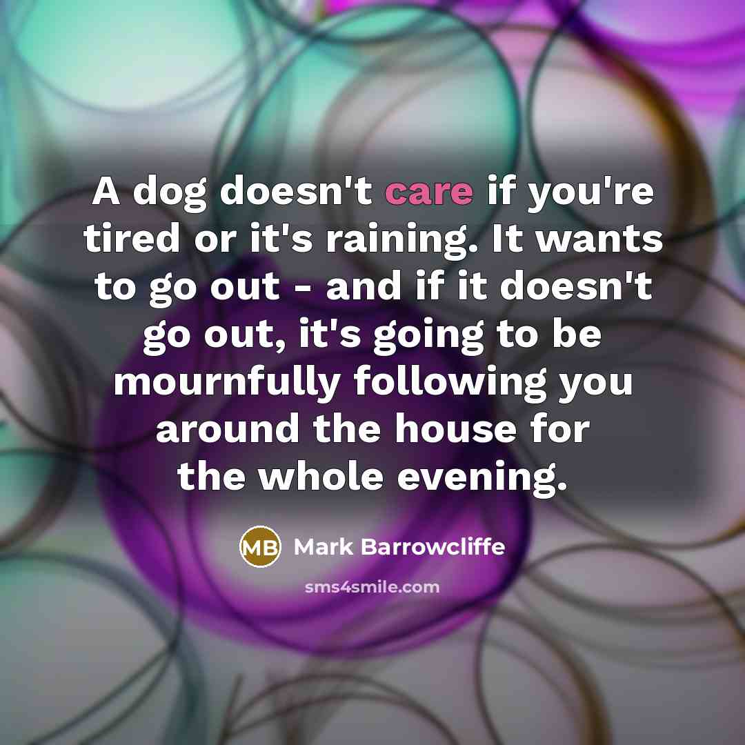 “A dog doesn't care if you're tired or it's raining.…” quote by Mark Barrowcliffe