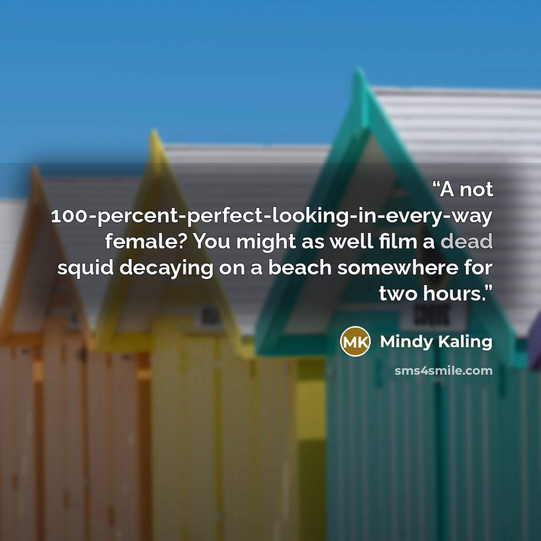 “A not 100-percent-perfect-looking-in-every-way female? You might as well film a dead squid decaying on a beach somewhere for two hours.” quote by Mindy Kaling