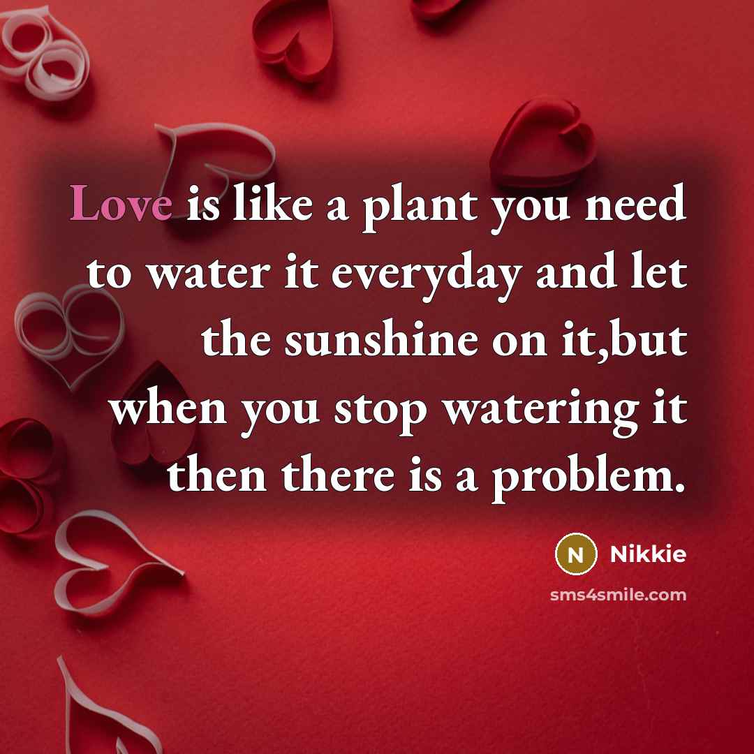 “Love is like a plant you need to water it…” quote by Nikkie