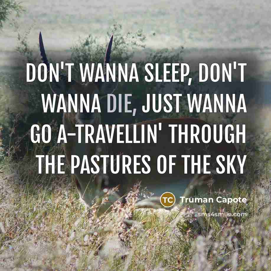 “Don't wanna sleep, don't wanna die, just wanna go a-travellin'…” quote by Truman Capote