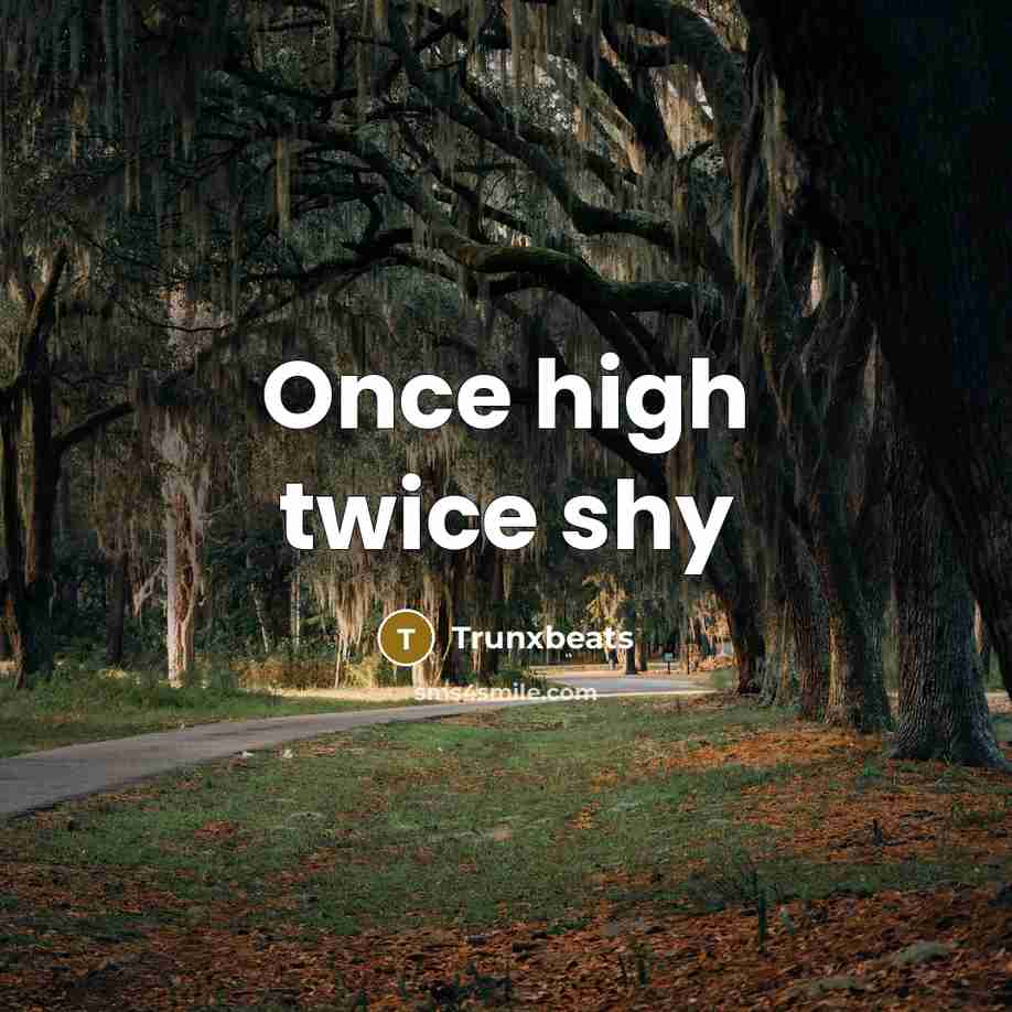“Once high twice shy” quote by Trunxbeats