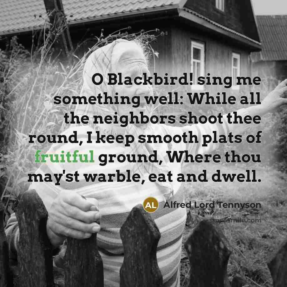 “O Blackbird! sing me something well: While all the neighbors…” quote by Alfred Lord Tennyson