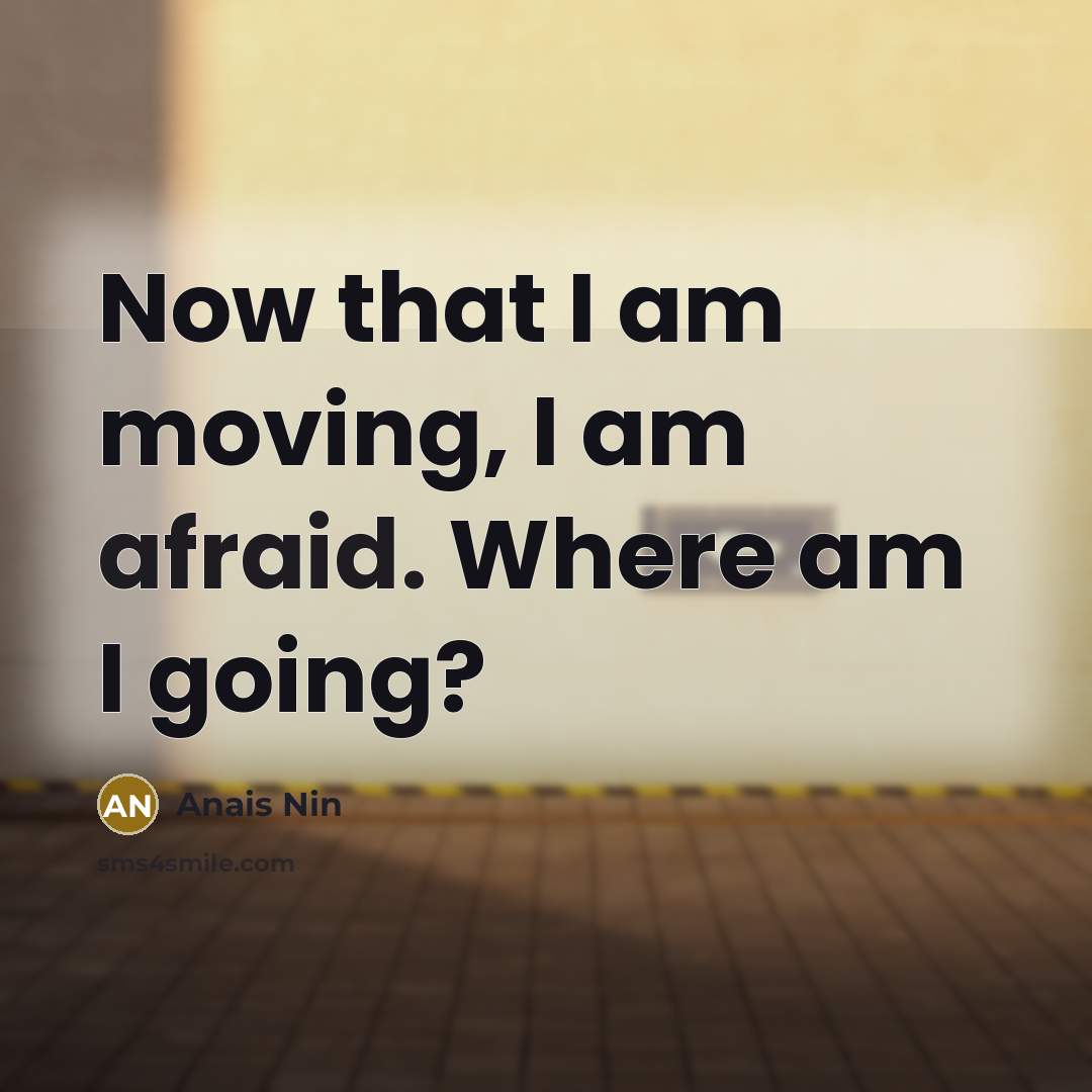 “Now that I am moving, I am afraid. Where am I going?” quote by Anais Nin