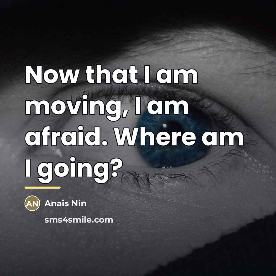 “Now that I am moving, I am afraid. Where am…” quote by Anais Nin