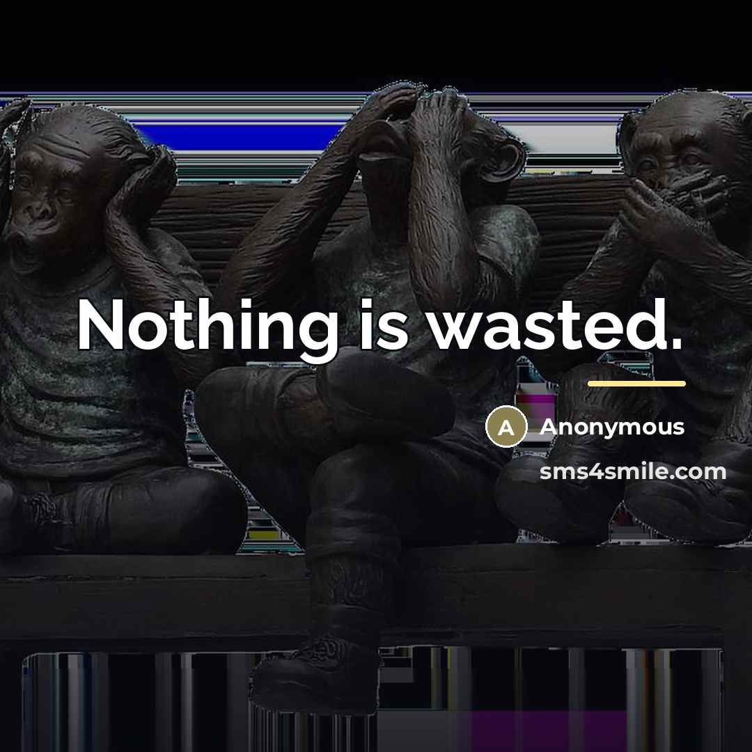 “Nothing is wasted.…” quote by Anonymous