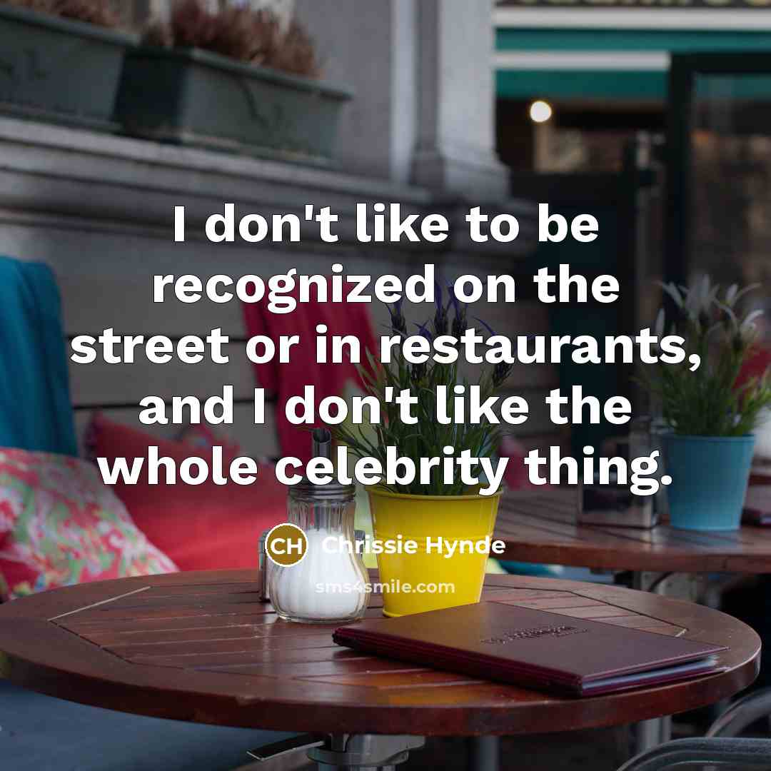 “I don't like to be recognized on the street or…” quote by Chrissie Hynde
