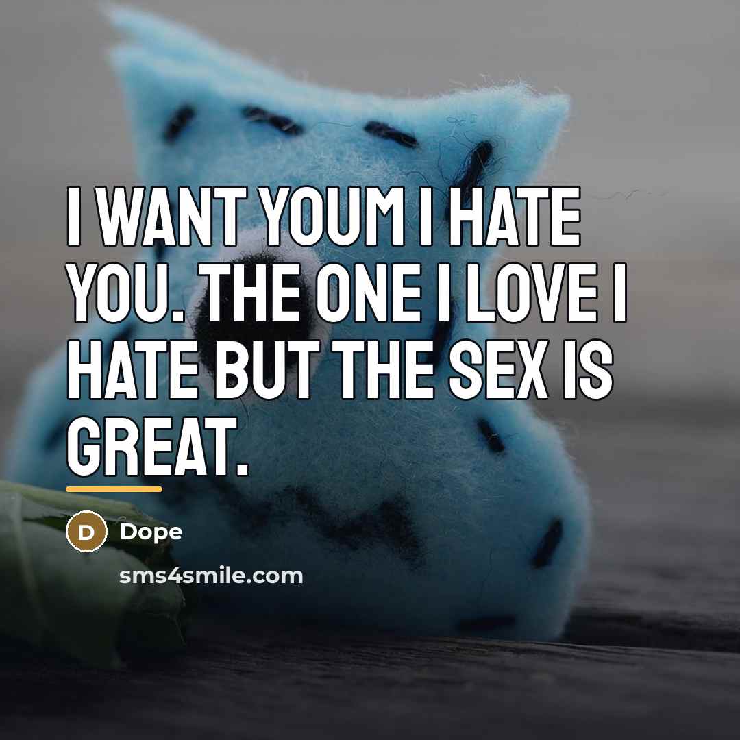 “I want youm I hate you. The one I love…” quote by Dope
