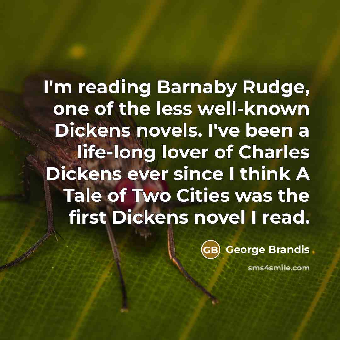 “I'm reading Barnaby Rudge, one of the less well-known Dickens…” quote by George Brandis