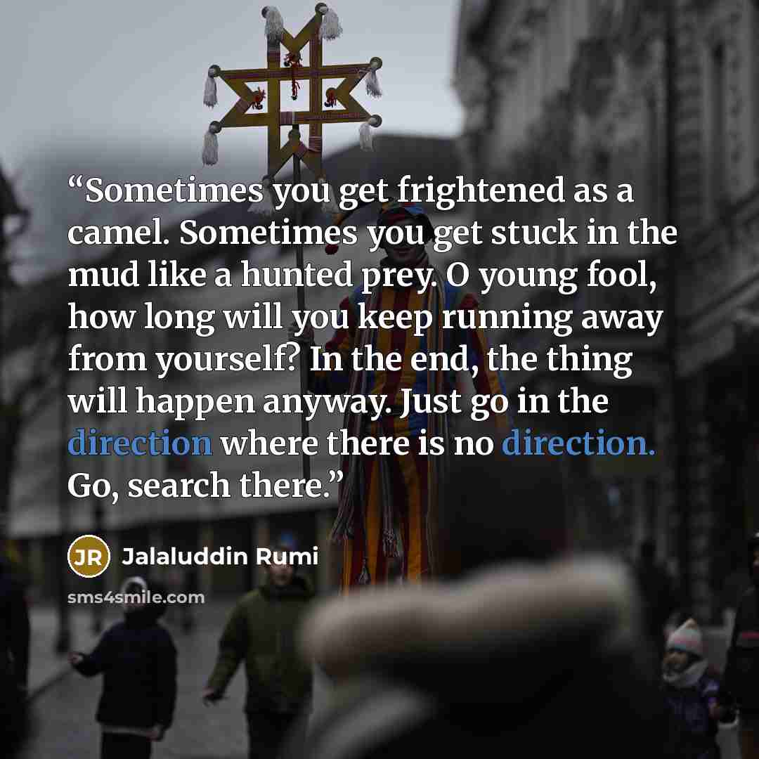 “Sometimes you get frightened as a camel. Sometimes you get stuck in the mud like a hunted prey. O young fool, how long will you keep running away from yourself? In the end, the thing will happen anyway. Just go in the direction where there is no direction. Go, search there.” quote by Jalaluddin Rumi