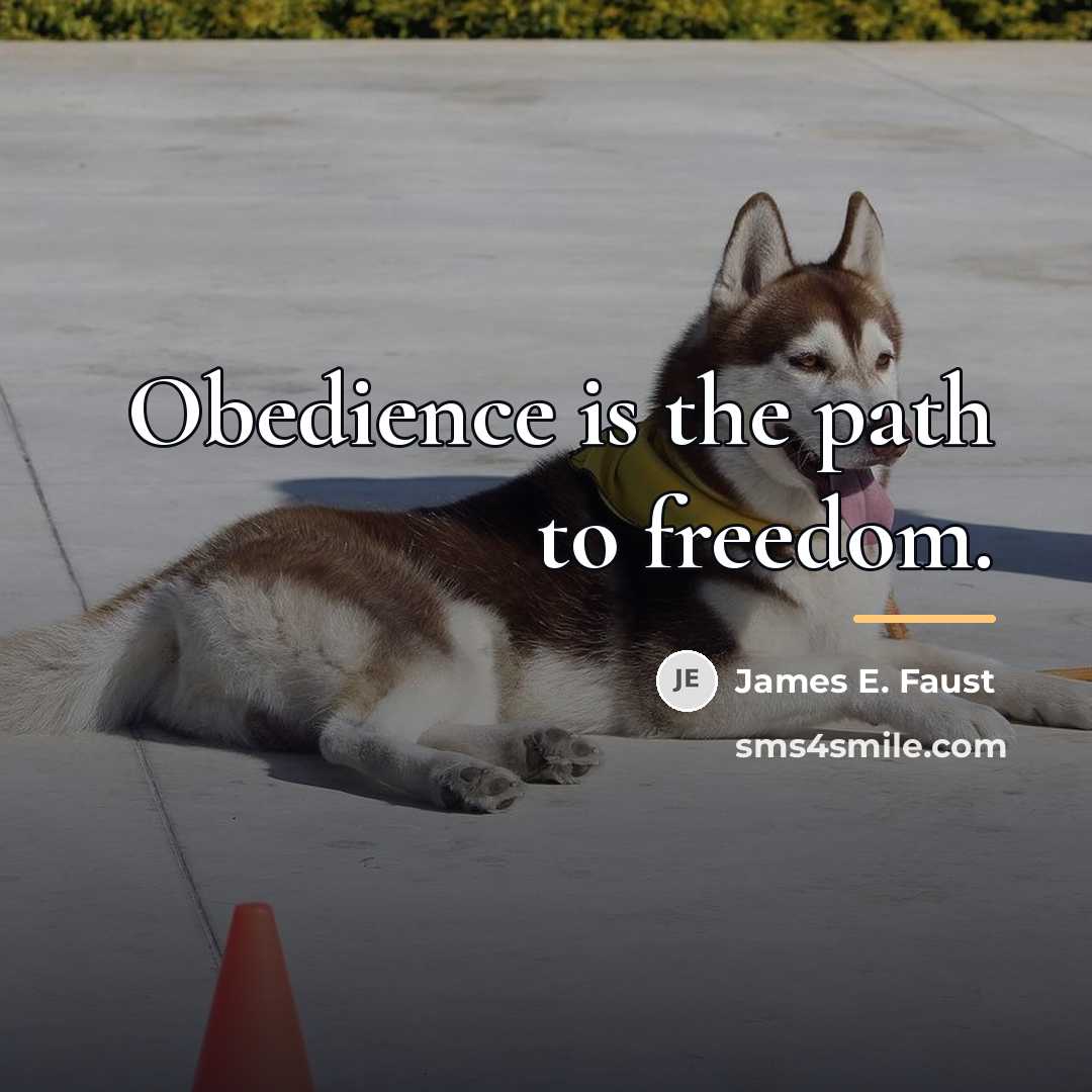 “Obedience is the path to freedom.…” quote by James E. Faust