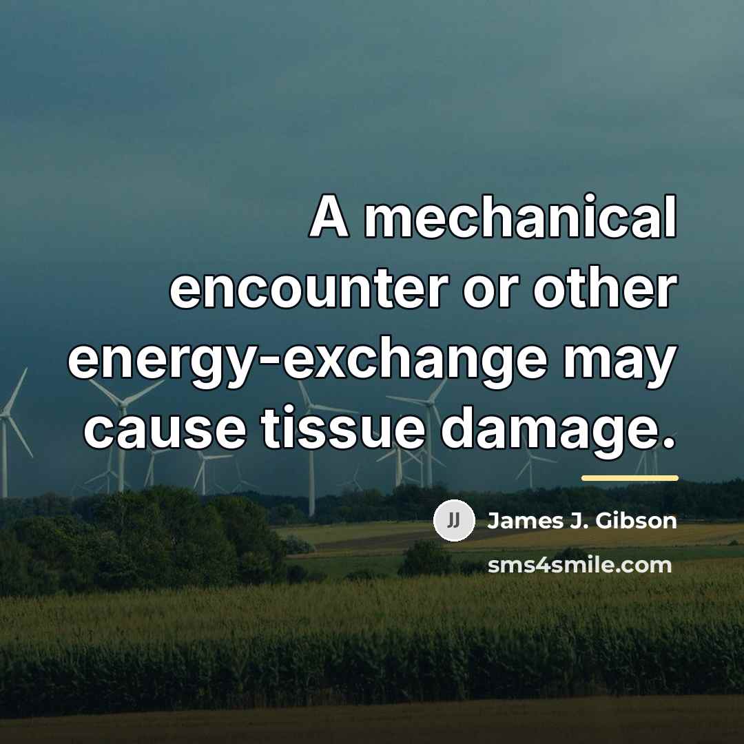 “A mechanical encounter or other energy-exchange may cause tissue damage.…” quote by James J. Gibson