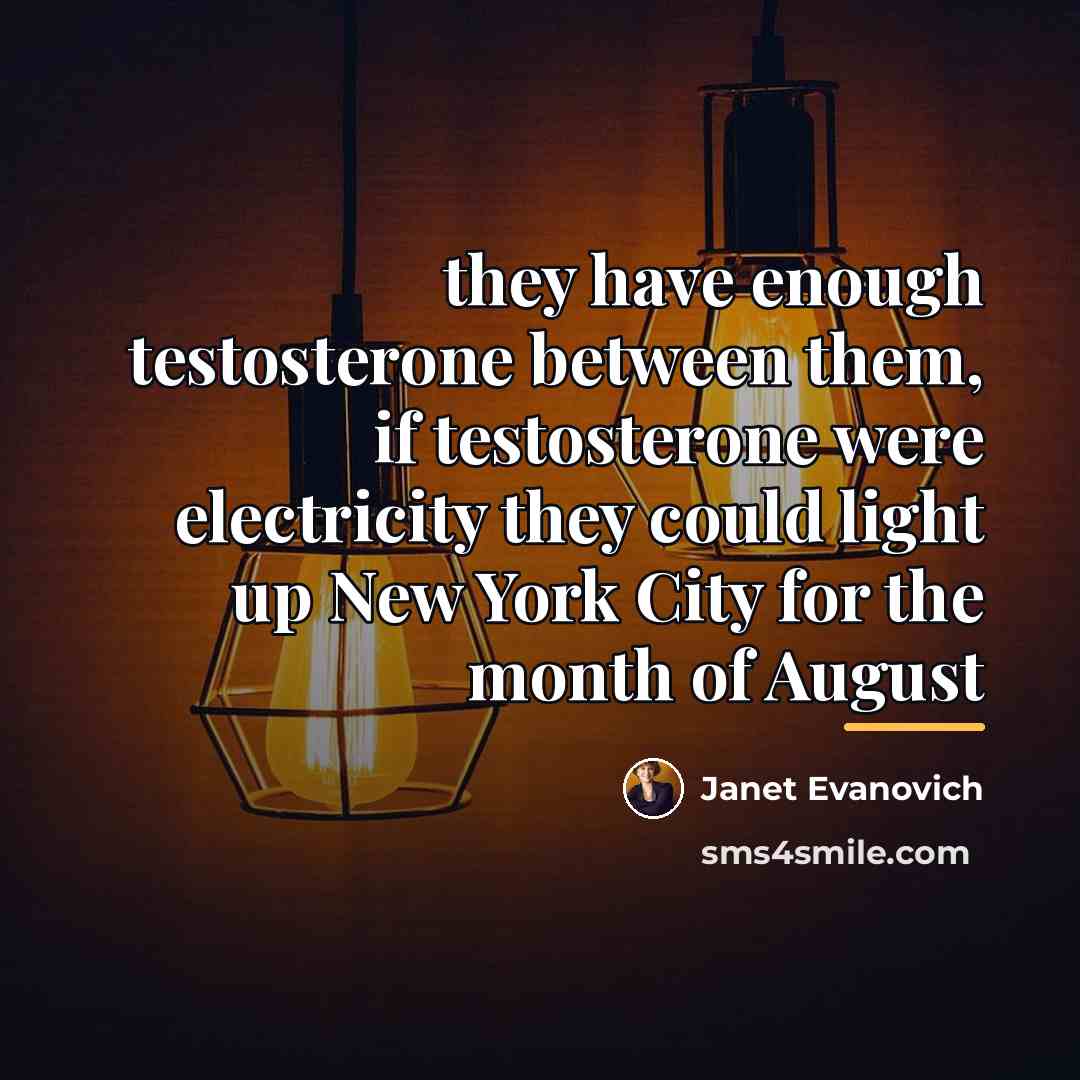 “they have enough testosterone between them, if testosterone were electricity…” quote by Janet Evanovich