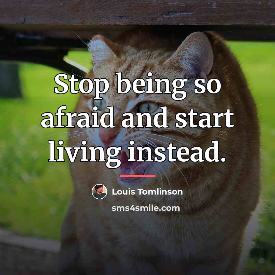 “Stop being so afraid and start living instead.…” quote by Louis Tomlinson