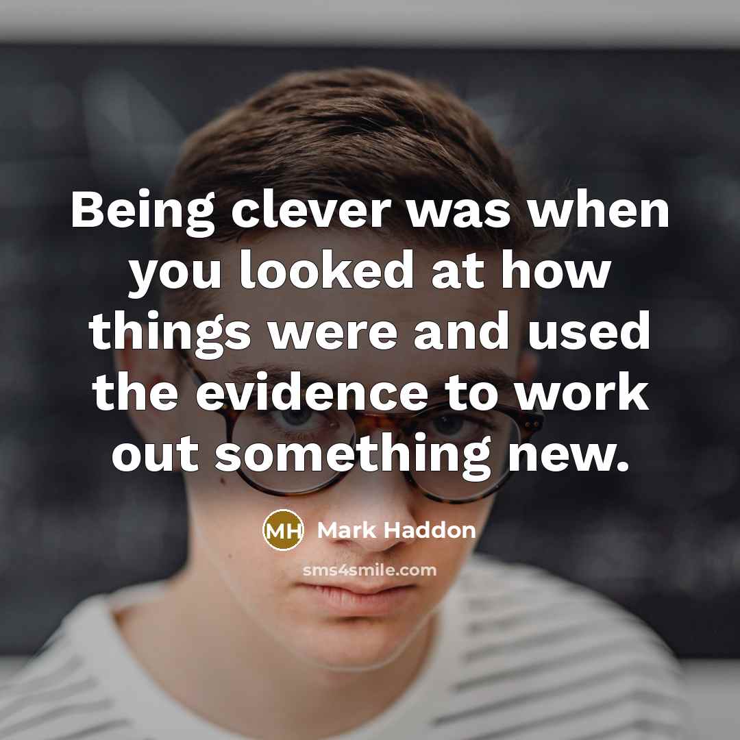 “Being clever was when you looked at how things were…” quote by Mark Haddon