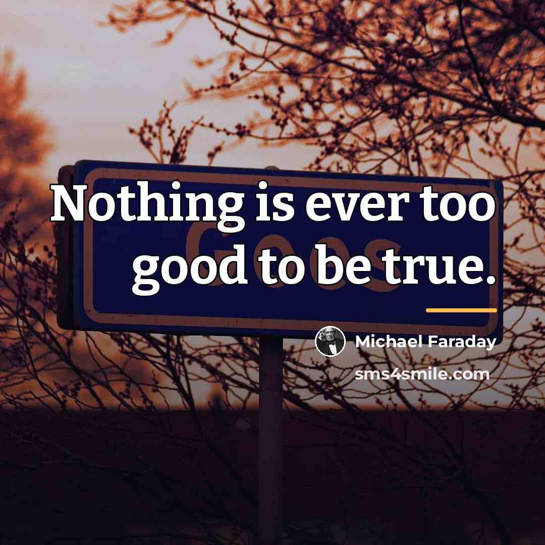 “Nothing is ever too good to be true.…” quote by Michael Faraday