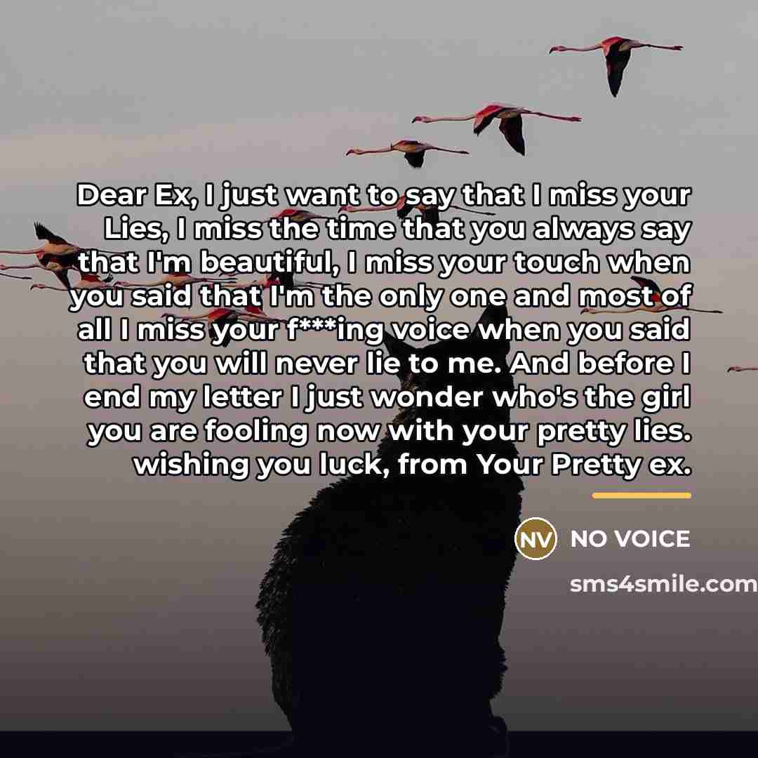 “Dear Ex, I just want to say that I miss…” quote by NO VOICE