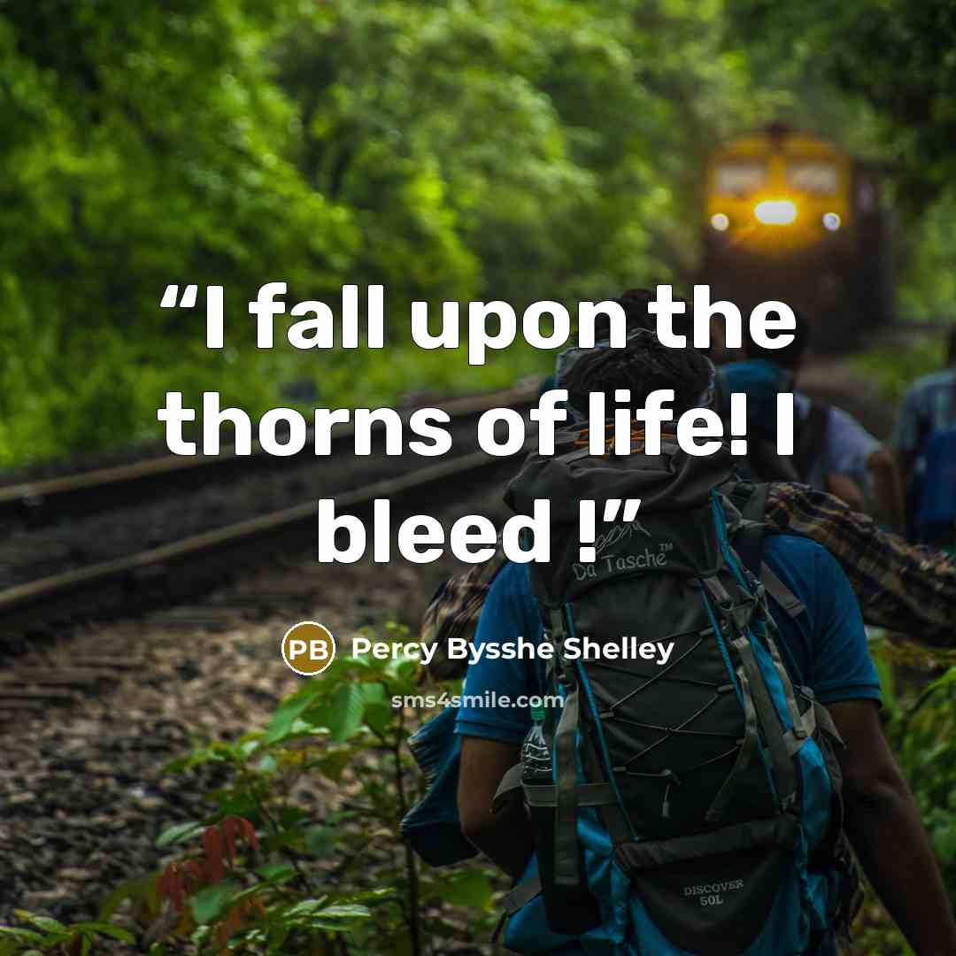 “I fall upon the thorns of life! I bleed !” quote by Percy Bysshe Shelley