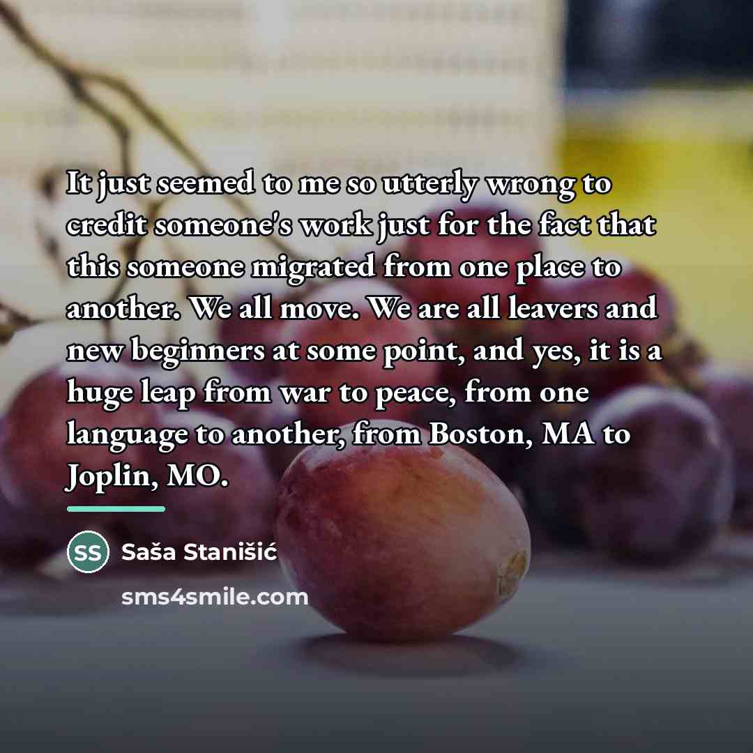 “It just seemed to me so utterly wrong to credit…” quote by Sasa Stanisic