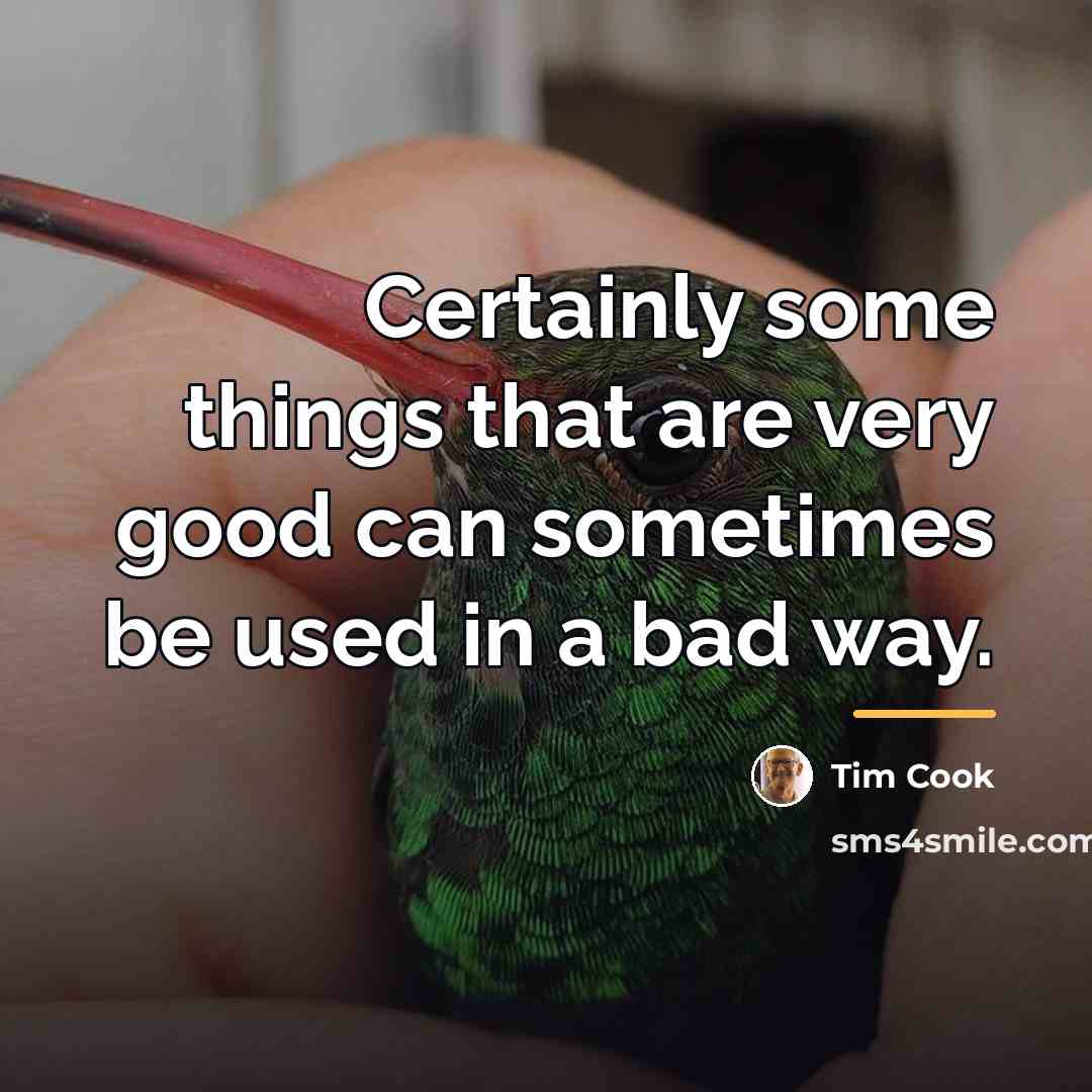 “Certainly some things that are very good can sometimes be…” quote by Tim Cook