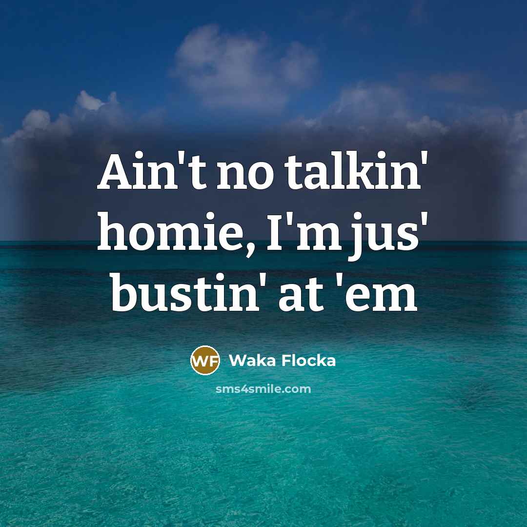 “Ain't no talkin' homie, I'm jus' bustin' at 'em” quote by Waka Flocka