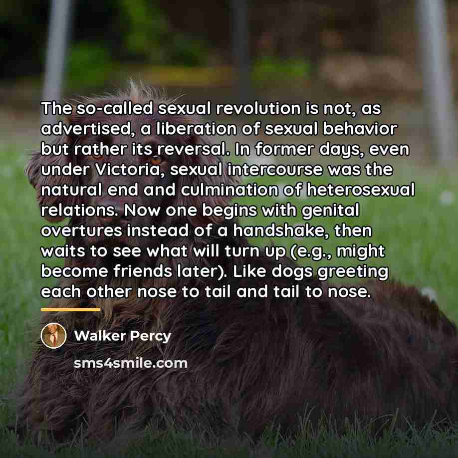 “The so-called sexual revolution is not, as advertised, a liberation…” quote by Walker Percy