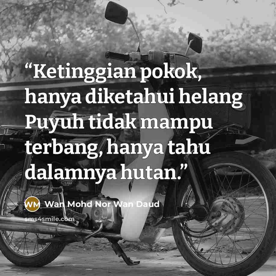 “Ketinggian pokok, hanya diketahui helang Puyuh tidak mampu terbang, hanya tahu dalamnya hutan.” quote by Wan Mohd Nor Wan Daud