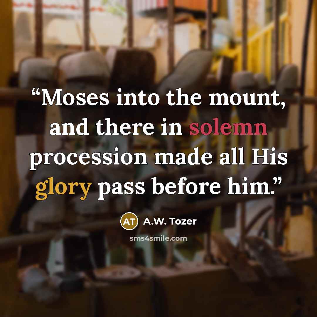 “Moses into the mount, and there in solemn procession made all His glory pass before him.” quote by A.W. Tozer