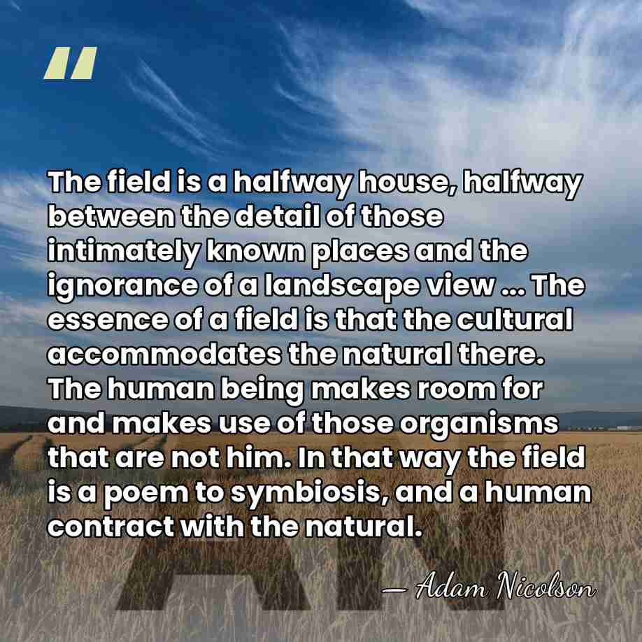 The field is a halfway house, halfway between the detail of those&hellip; - Adam Nicolson