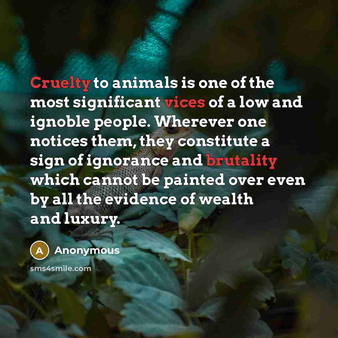 “Cruelty to animals is one of the most significant vices…” quote by Anonymous