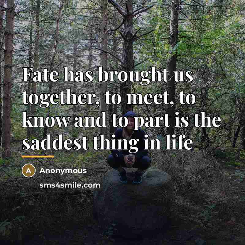 “Fate has brought us together, to meet, to know and…” quote by Anonymous