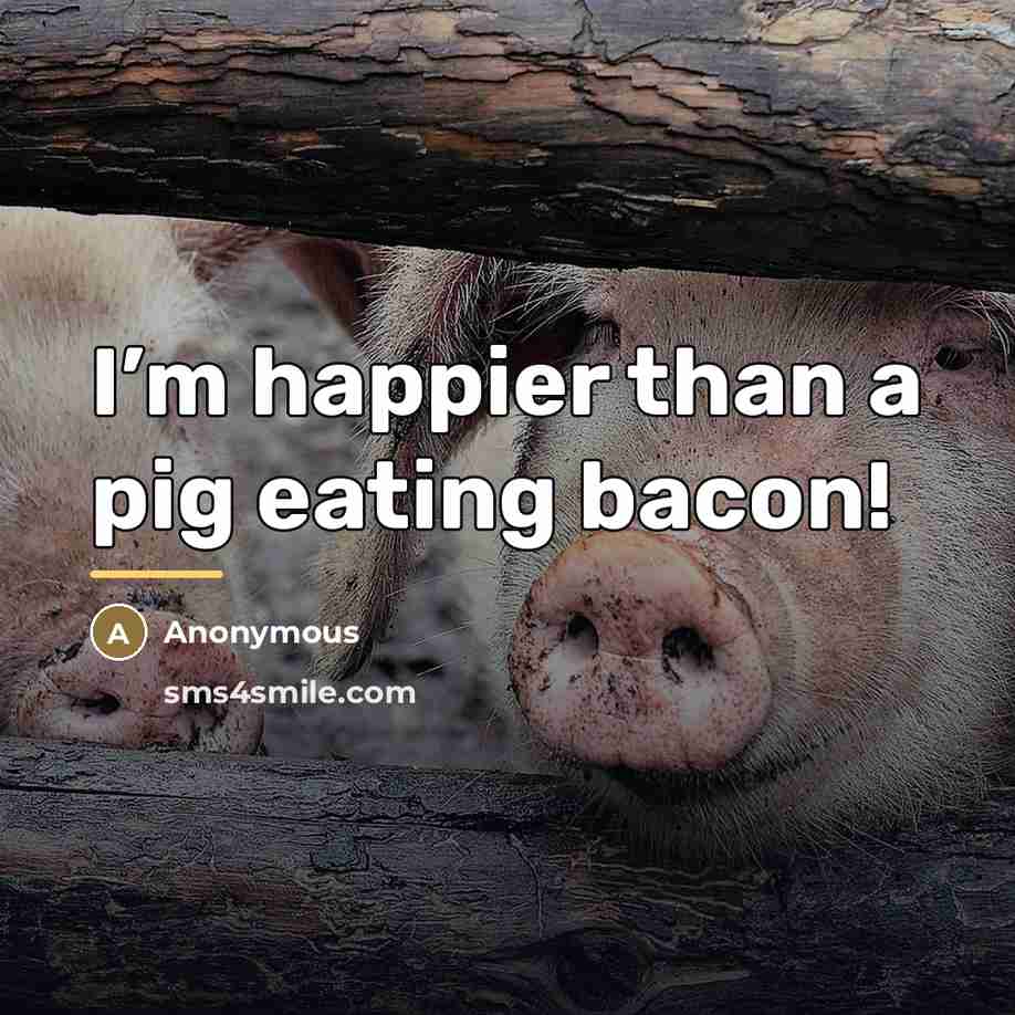“I’m happier than a pig eating bacon!…” quote by Anonymous