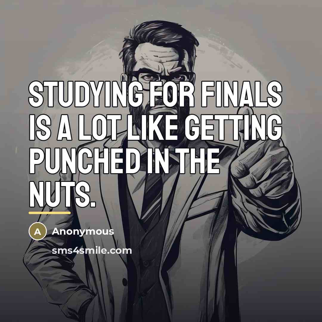 “Studying for finals is a lot like getting punched in…” quote by Anonymous