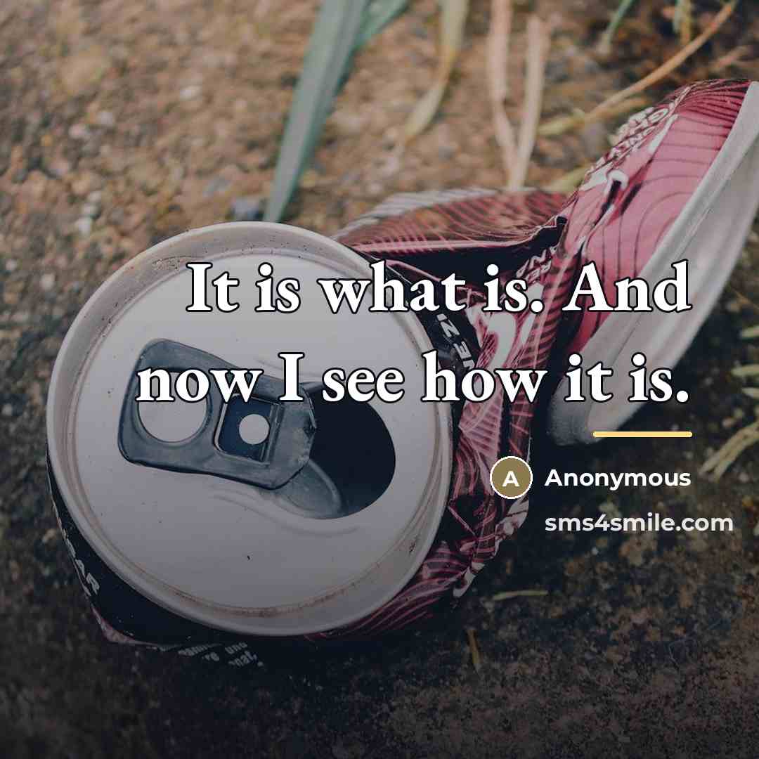 “It is what is. And now I see how it…” quote by Anonymous