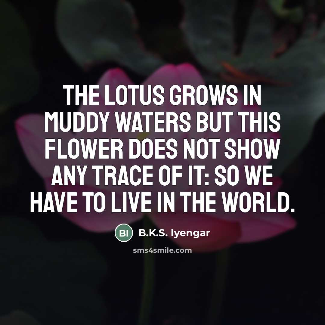 “The lotus grows in muddy waters but this flower does…” quote by B.K.S. Iyengar