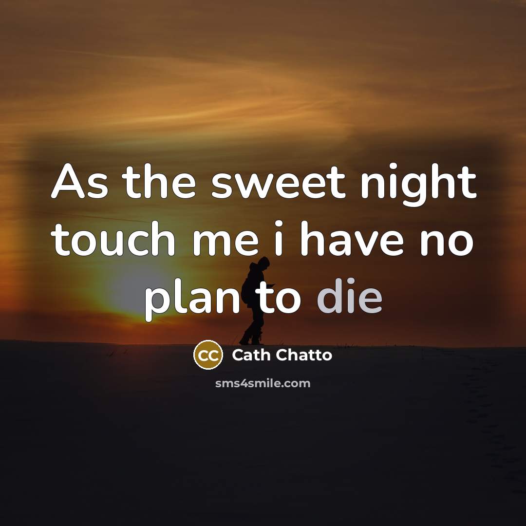 “As the sweet night touch me i have no plan…” quote by Cath Chatto