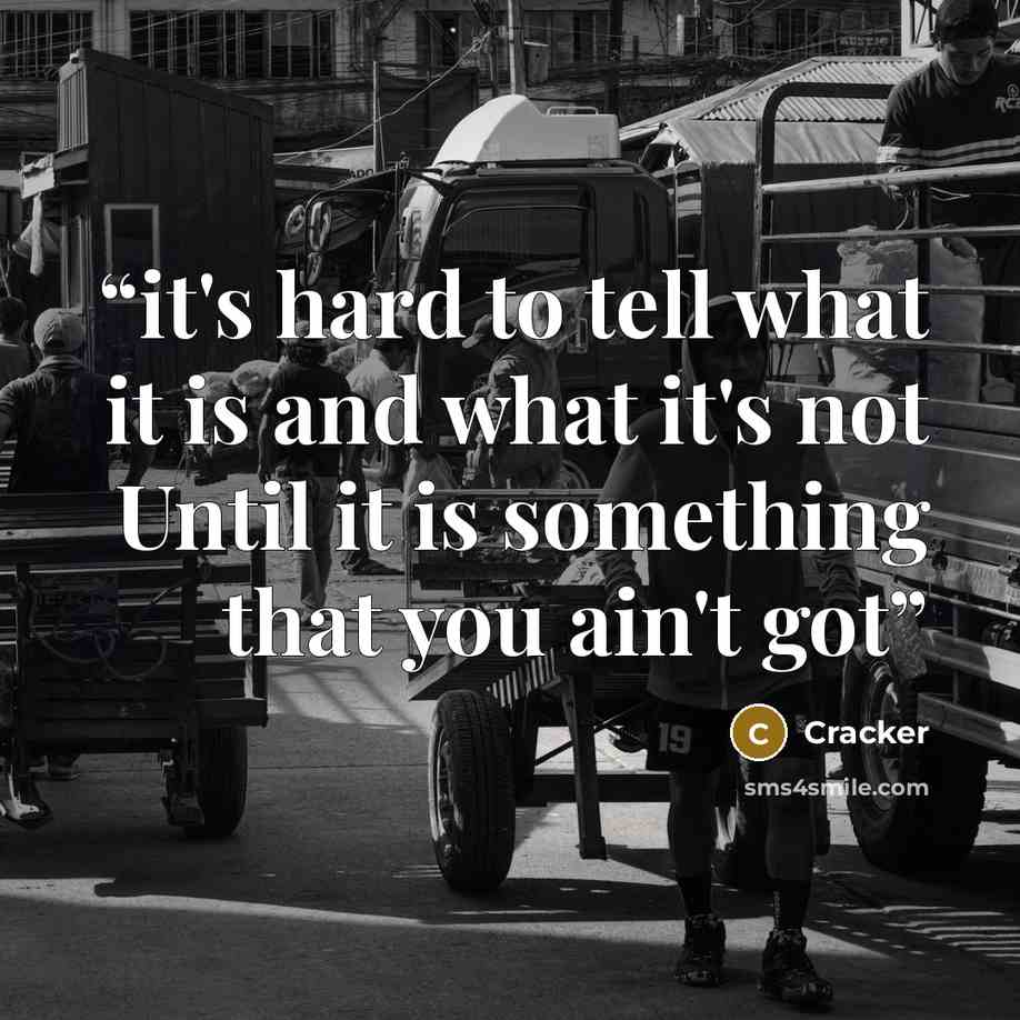 “it's hard to tell what it is and what it's not Until it is something that you ain't got” quote by Cracker