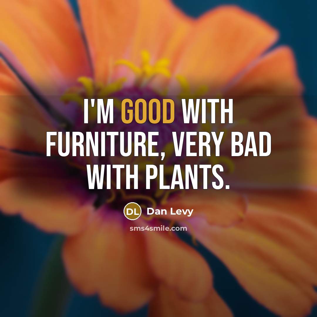 “I'm good with furniture, very bad with plants.…” quote by Dan Levy