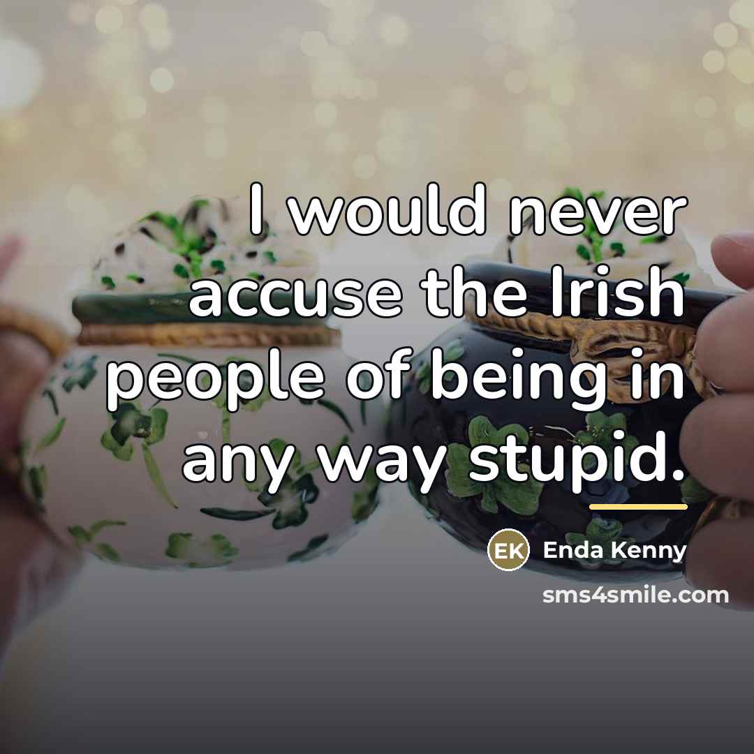 “I would never accuse the Irish people of being in…” quote by Enda Kenny