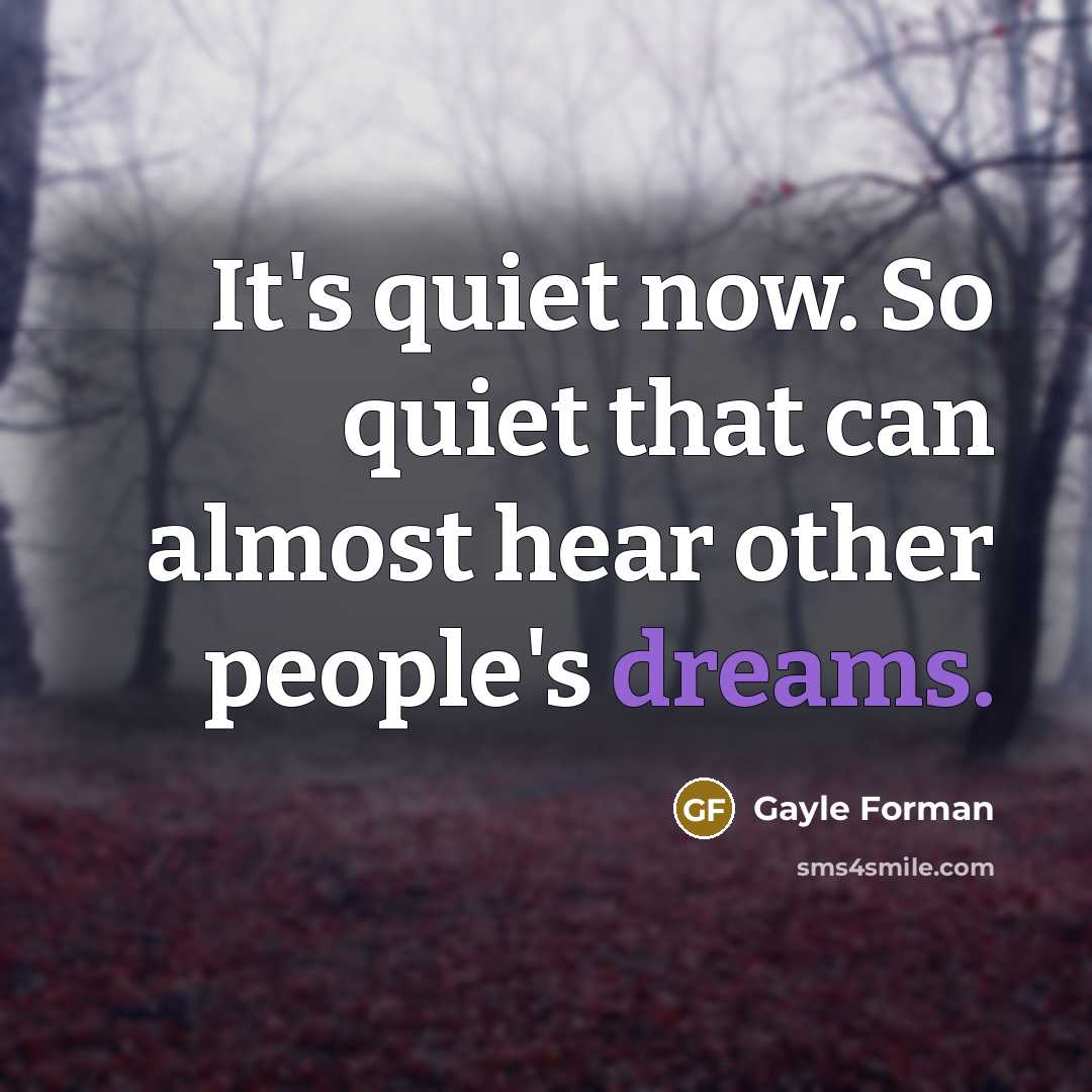 “It's quiet now. So quiet that can almost hear other…” quote by Gayle Forman