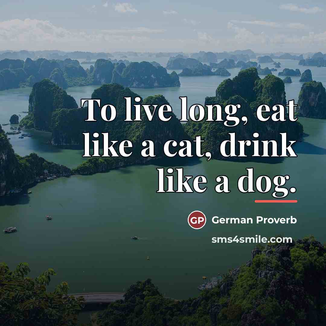 “To live long, eat like a cat, drink like a…” quote by German Proverb